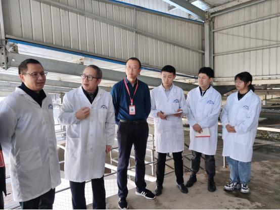 东坡区知联会积极推进有效运行中的泡菜盐渍液回收食盐科技成果工程